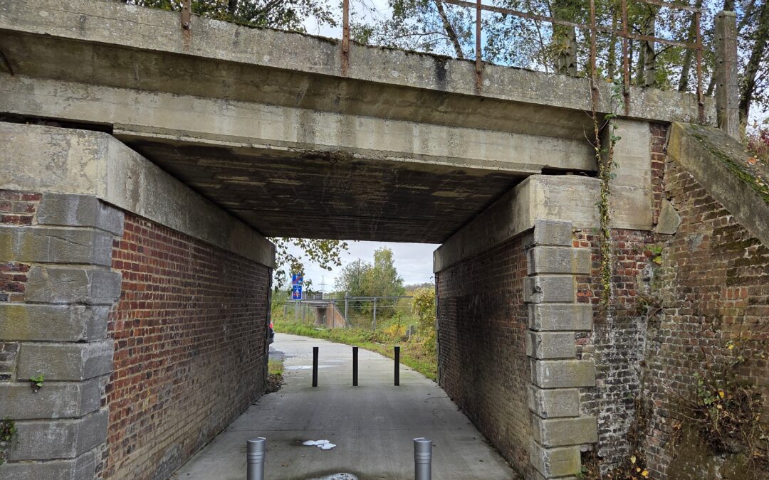 Balade pédestre : Un corridor vert au coeur du centre (La Louvière)
